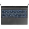Ноутбук Dream Machines RG3050-15 (RG3050-15UA77)